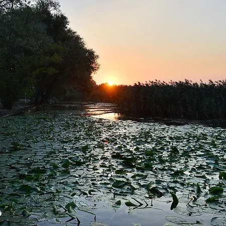 Green Blue Hotel ホテル サパンジャ