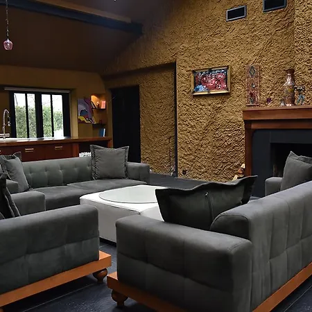 ホテル Green Blue Hotel サパンジャ