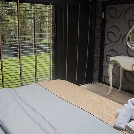 ホテル Green Blue Hotel サパンジャ